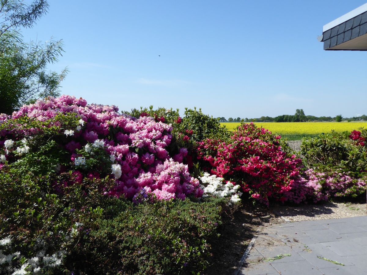 Buchen Sie unser Ferienhaus in Schillig an der Nordsee